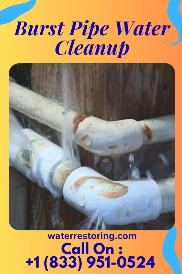Burst Pipe Water Cleanup in Sand Ridge, NY