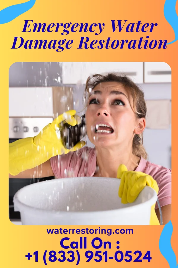 Emergency Water Damage Restoration in Sand Ridge, NY