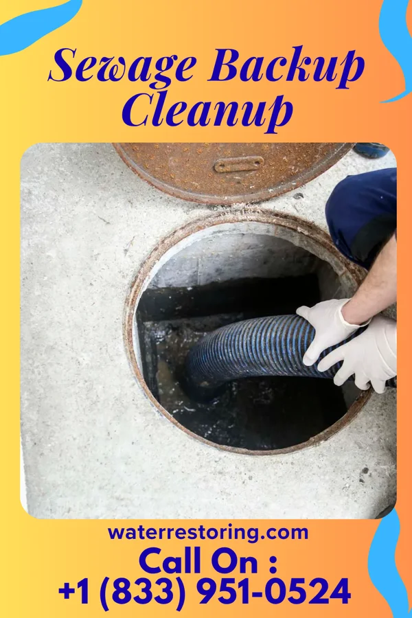 Sewage Backup Cleanup in Sand Ridge, NY
