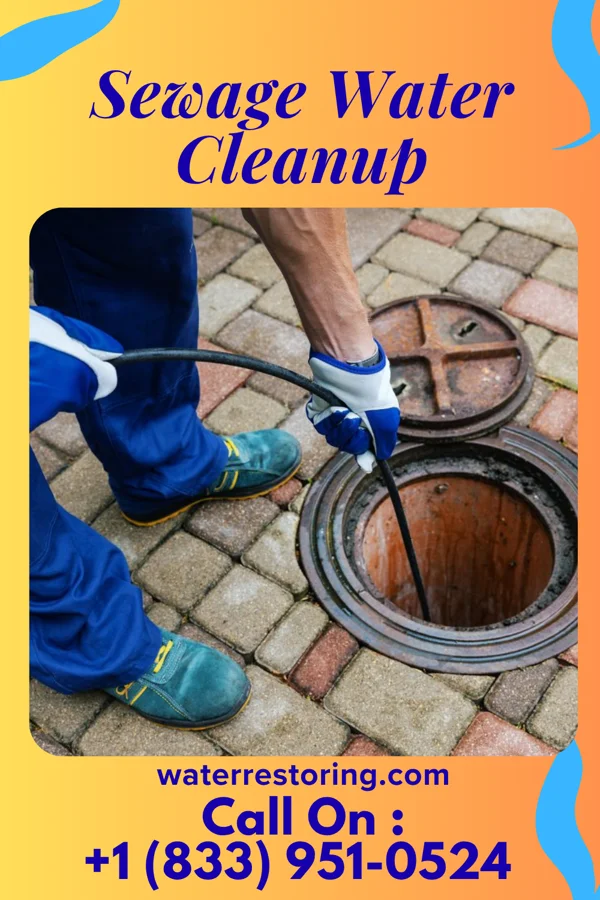 Sewage Water Cleanup in Sand Ridge, NY